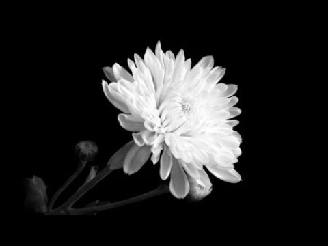 예방 가능한 죽음